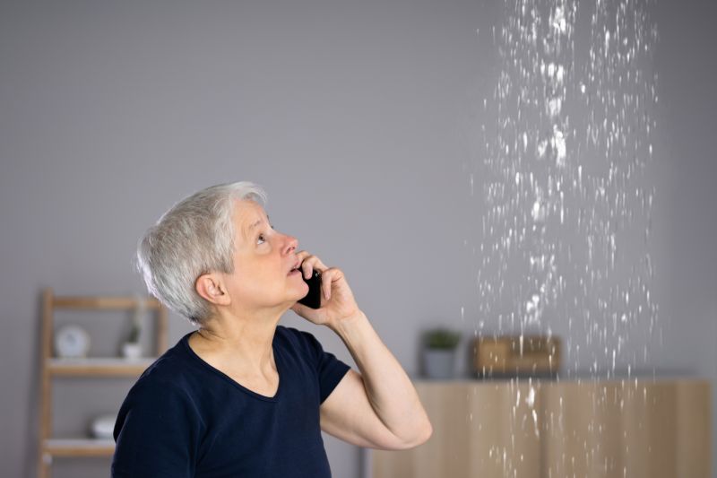 Emergency Leak Repair